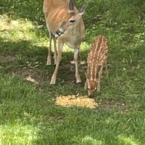 Meet your Posher, Janelle